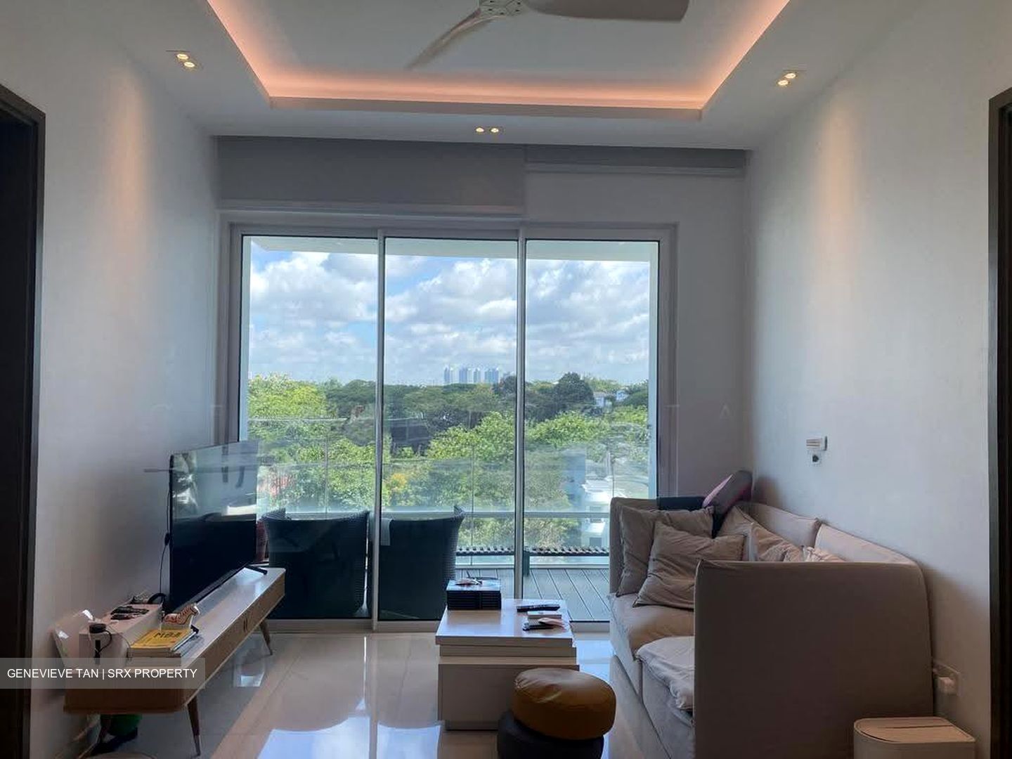 Nathan Suites (D10), Condominium #617031231